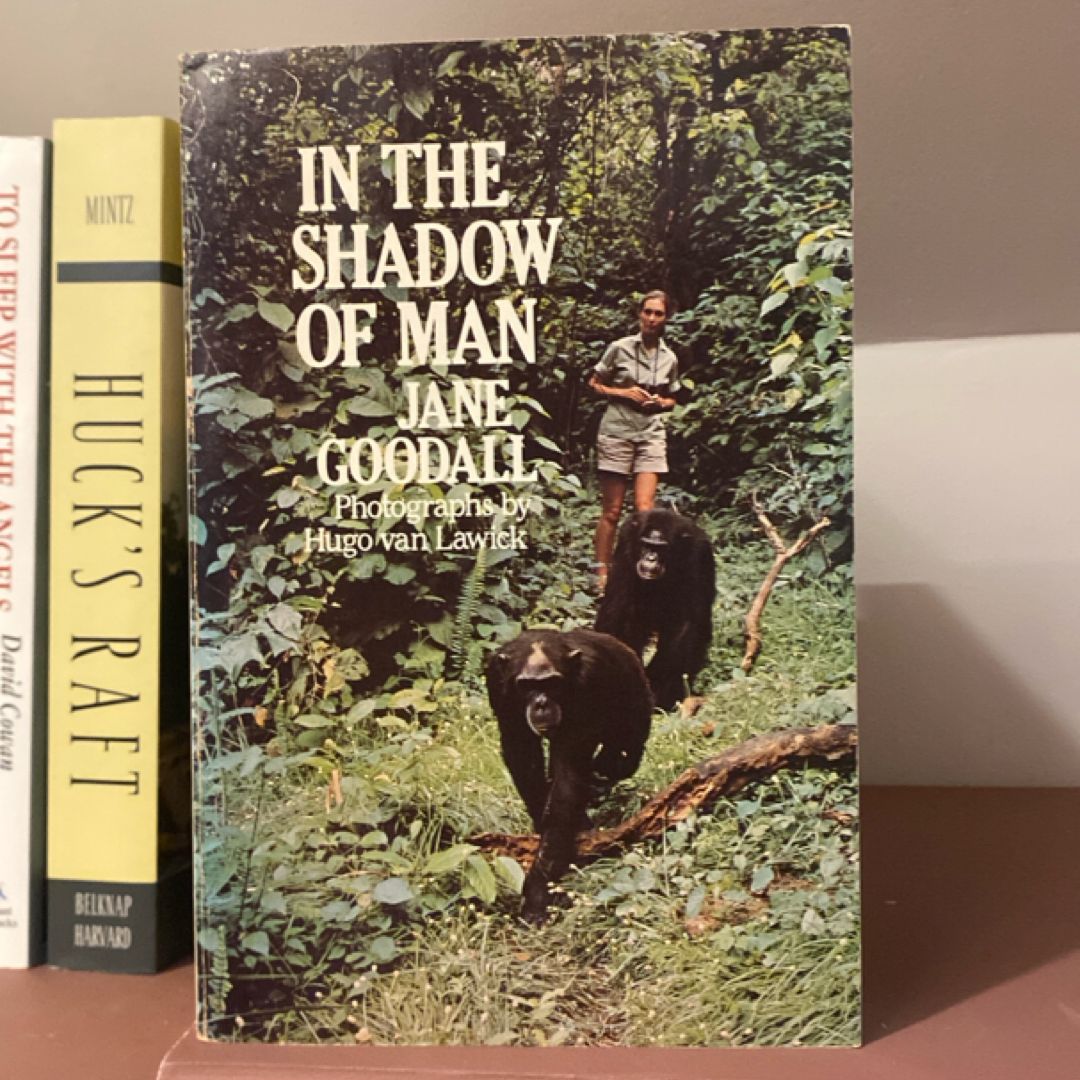 In the Shadow of Man