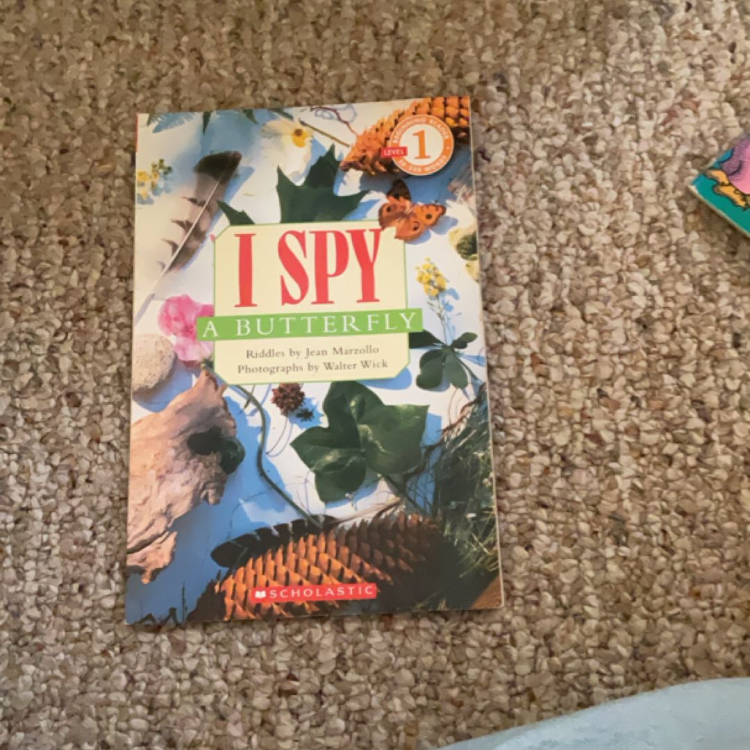 I Spy a Butterfly