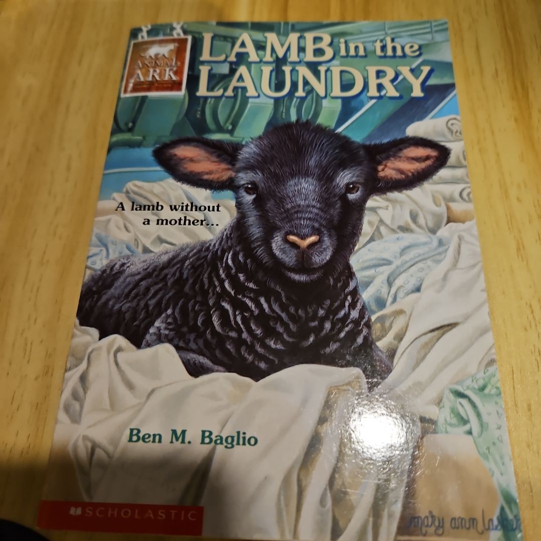 Lamb in the Laundry