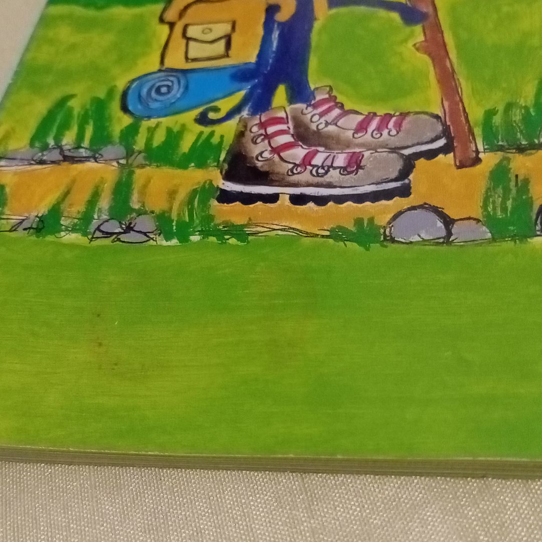 Pete the Cat Goes Camping