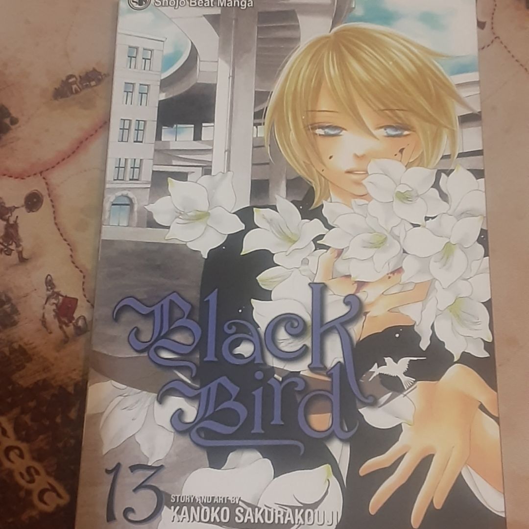 Black Bird, Vol. 13