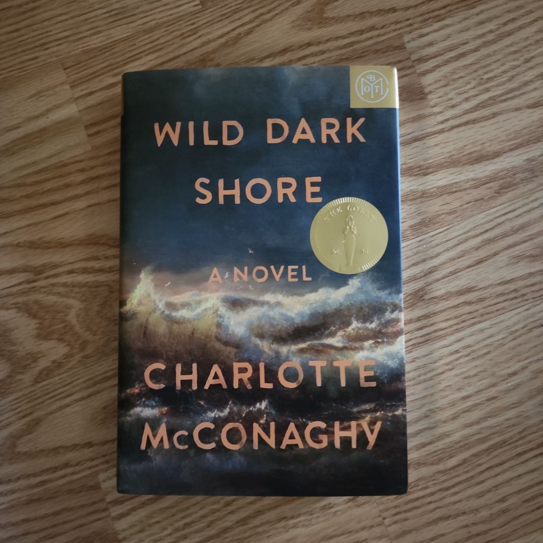 Wild Dark Shore