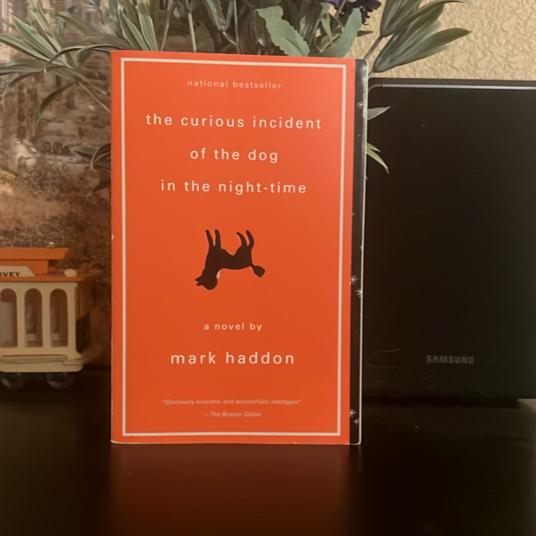 The Curious Incident of the Dog in the Night-Time
