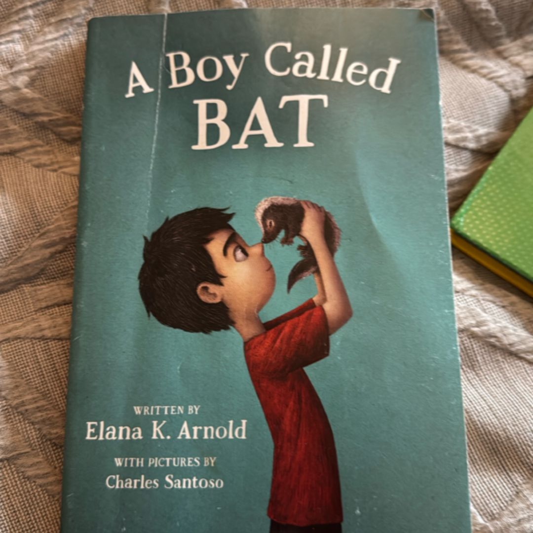 A Boy Called Bat