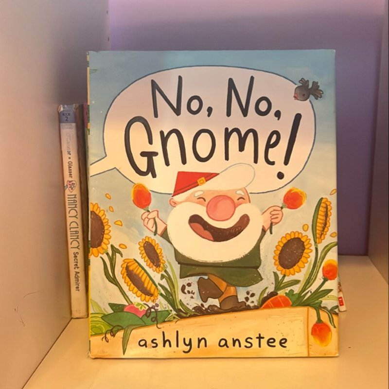 No, No, Gnome!