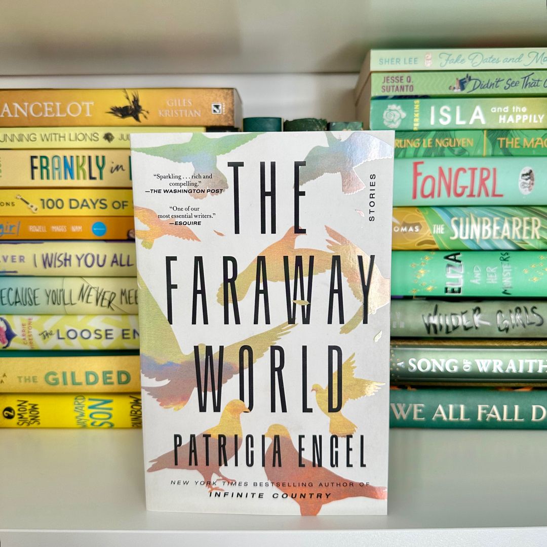 The Faraway World