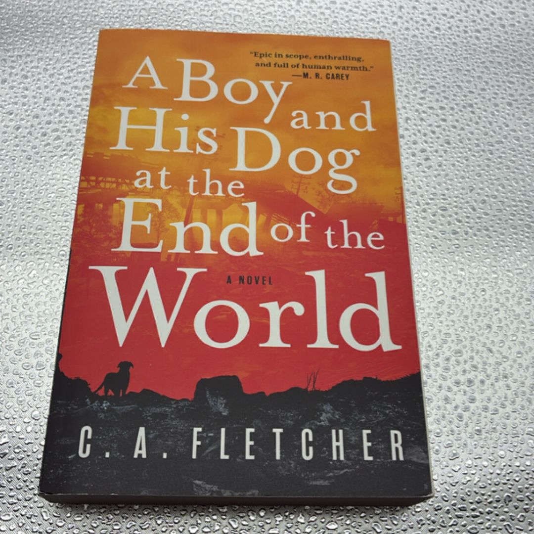 A Boy and His Dog at the End of the World