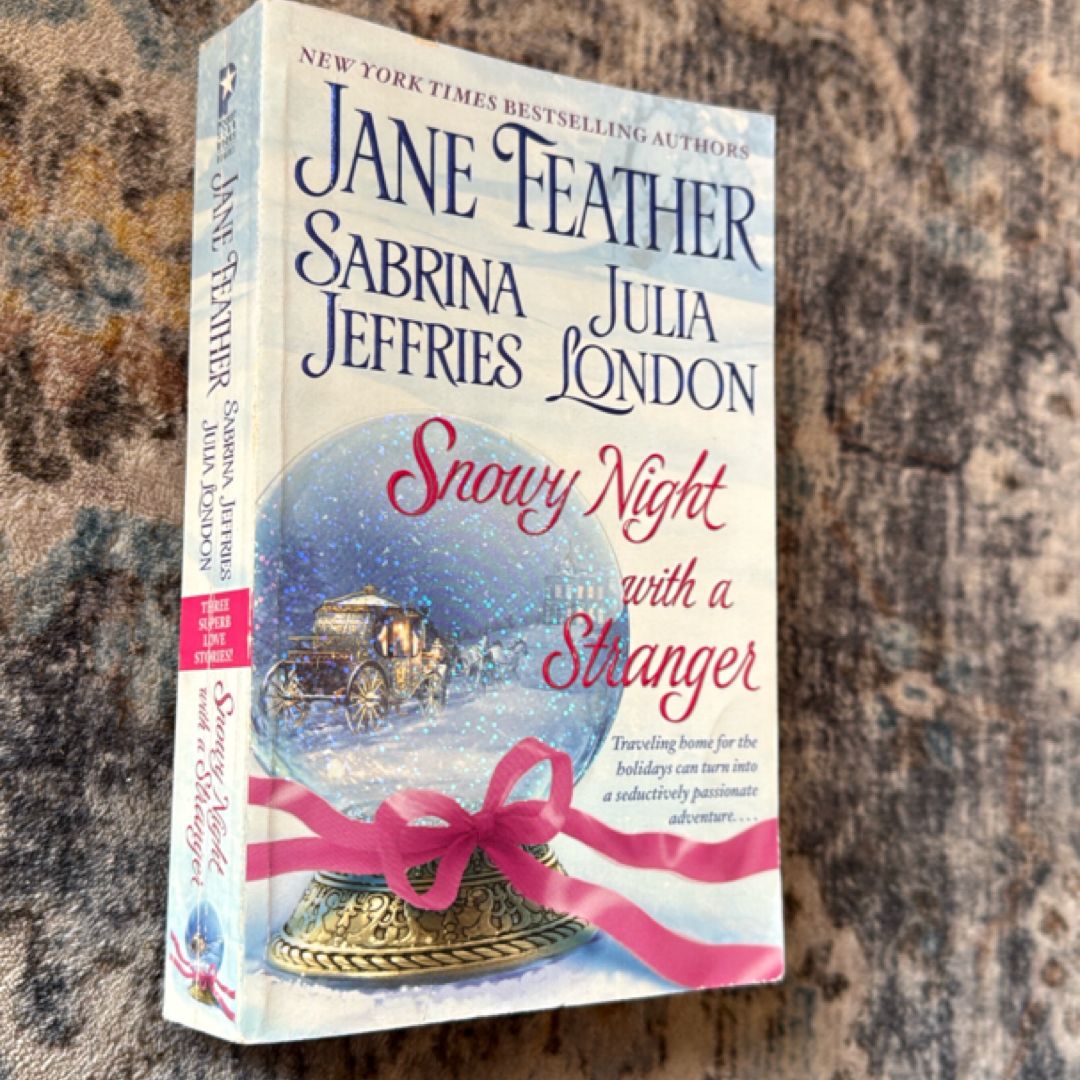 Snowy Night with a Stranger