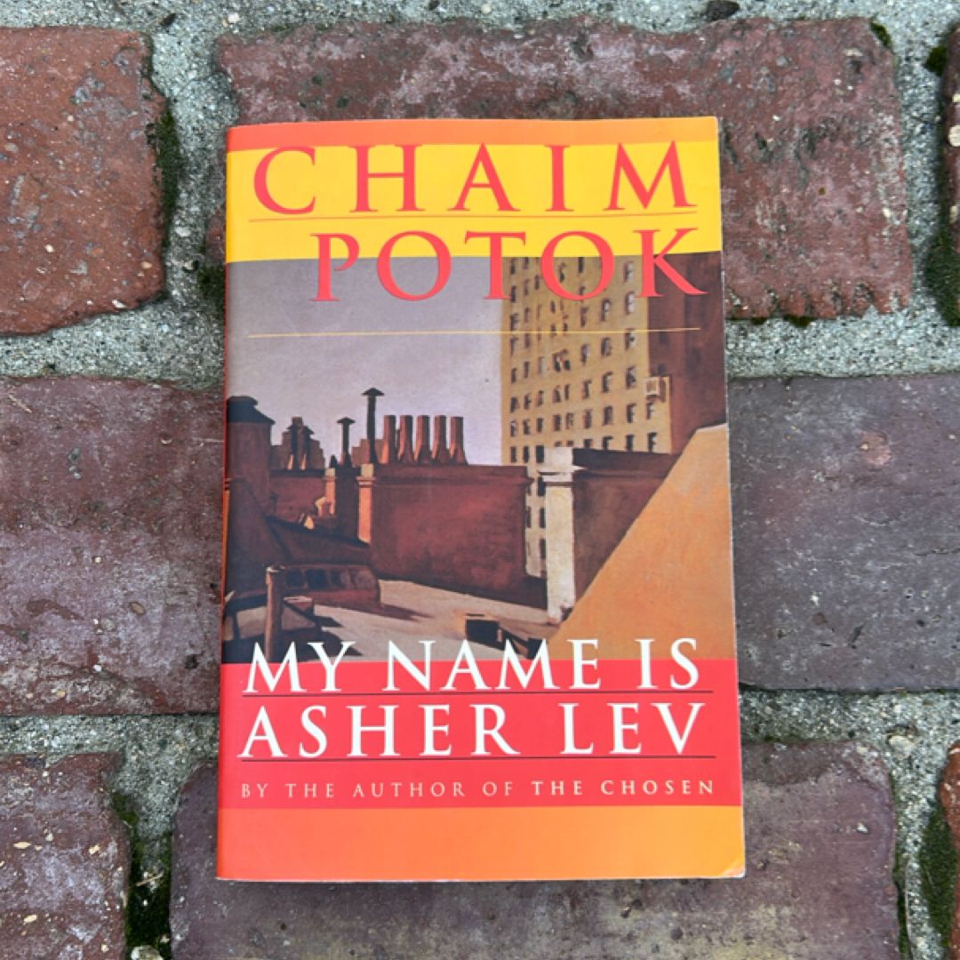 My Name Is Asher Lev