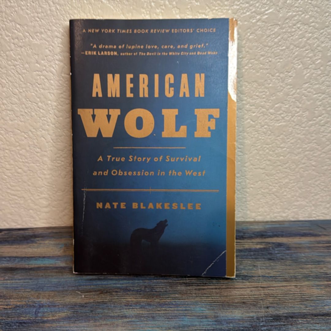 American Wolf