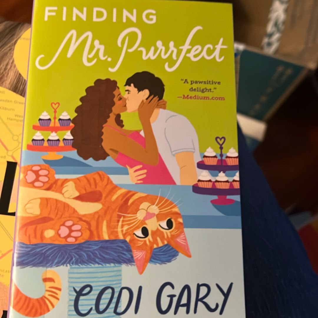 Finding Mr. Purrfect