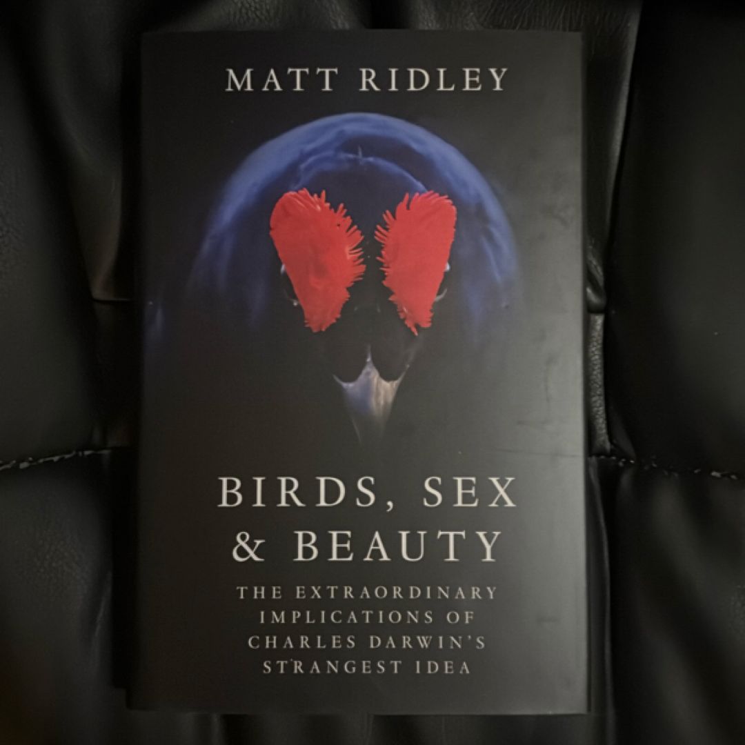 Birds, Sex and Beauty