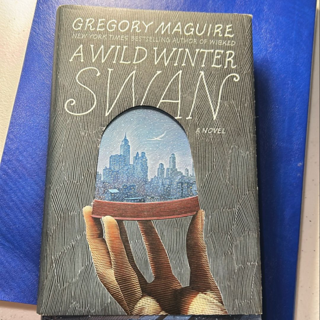 A Wild Winter Swan