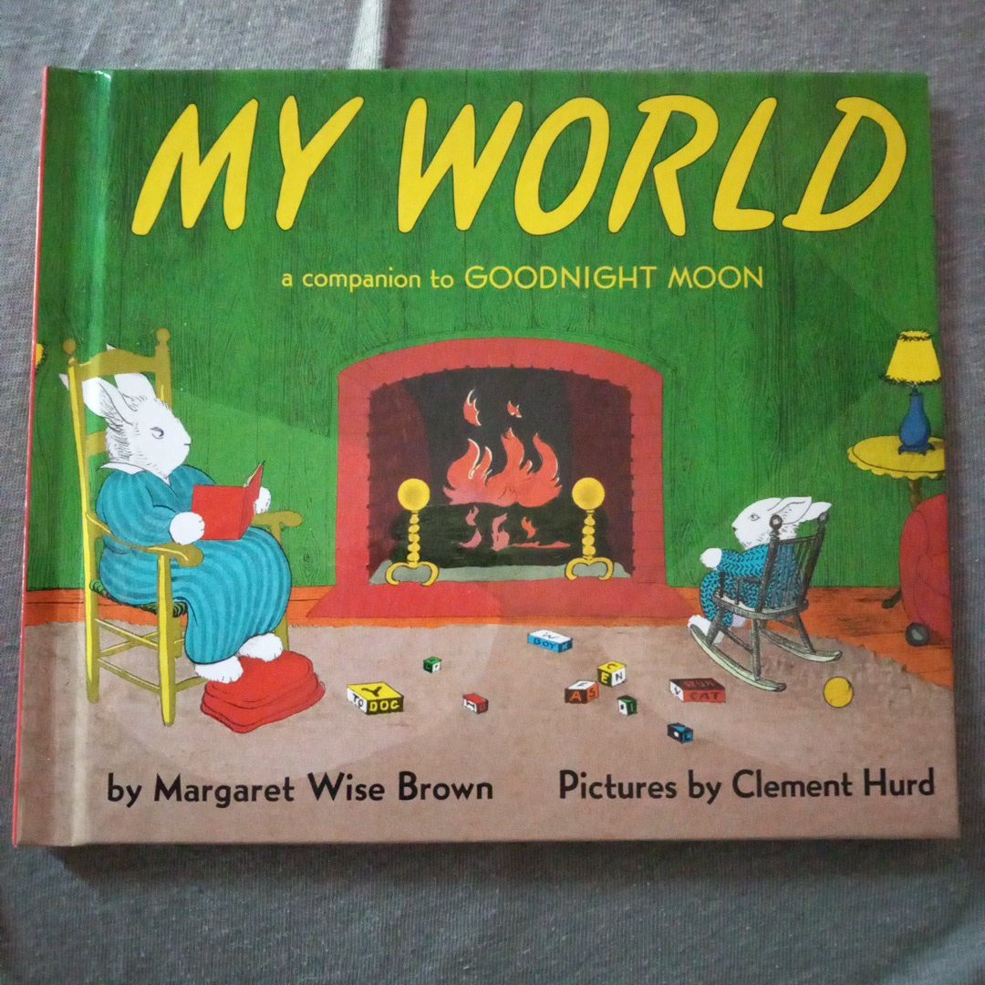 My World Board Book