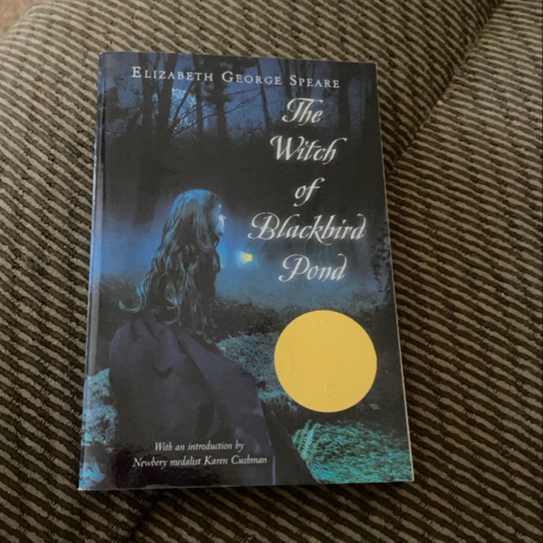 The Witch of Blackbird Pond