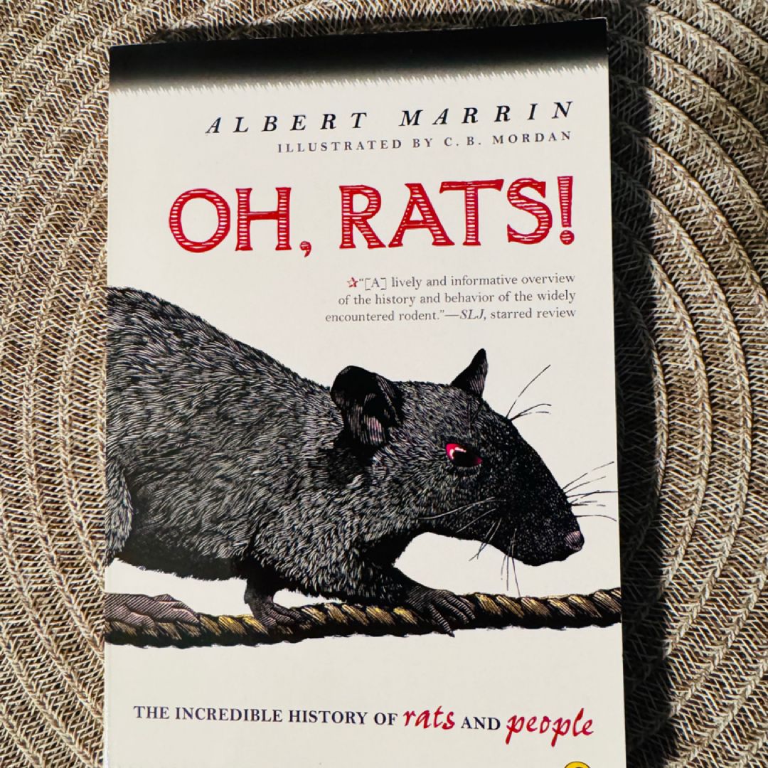 Oh Rats!