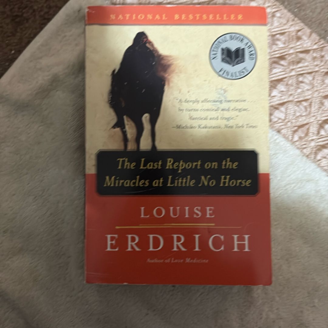 The Last Report on the Miracles at Little No Horse