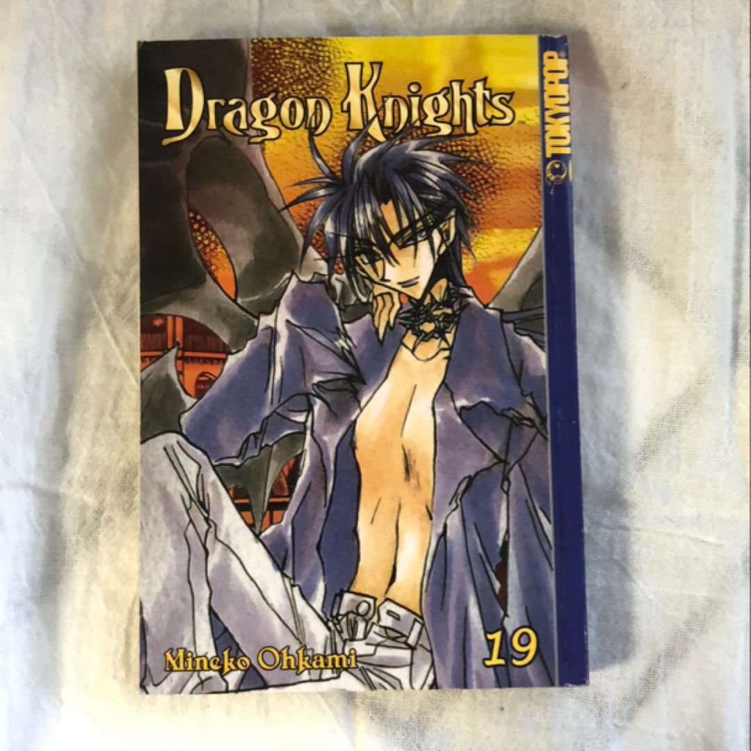 Dragon Knights 19