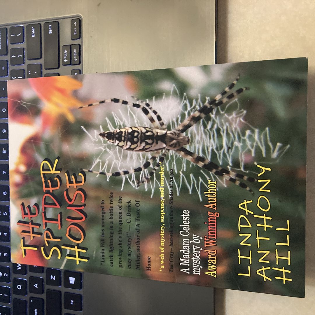 The Spider House