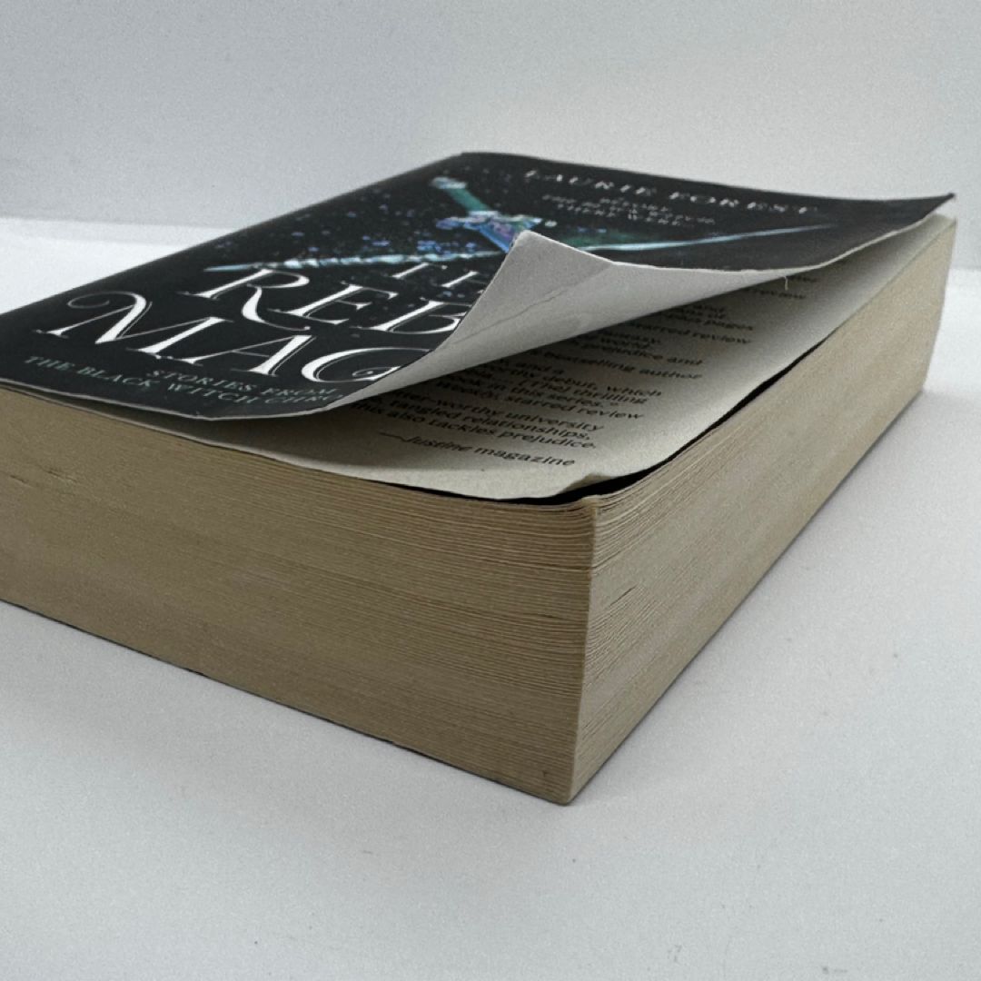 The Rebel Mages by Laurie Forest