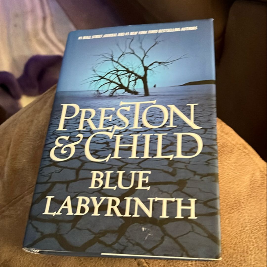 Blue Labyrinth
