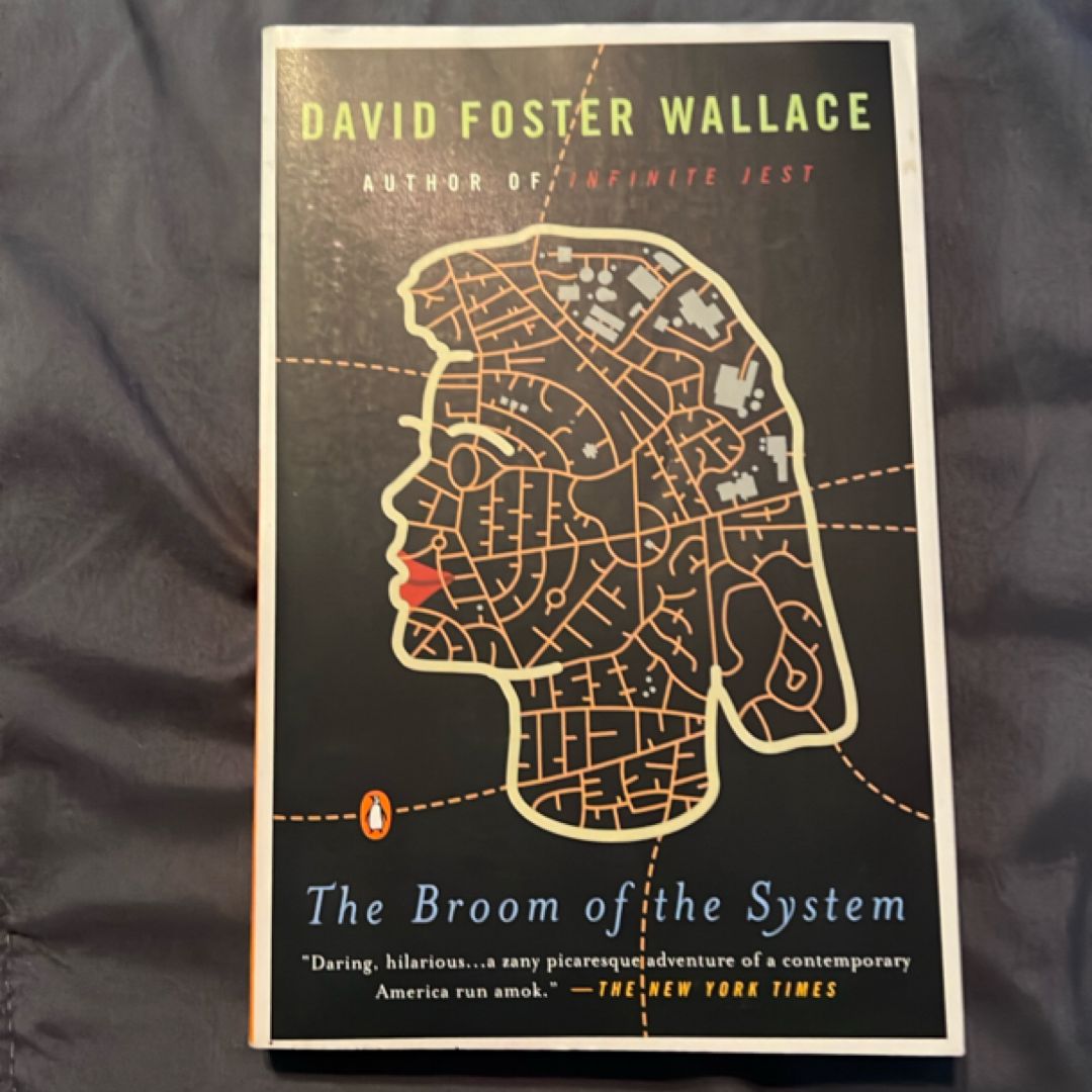 The Broom of the System