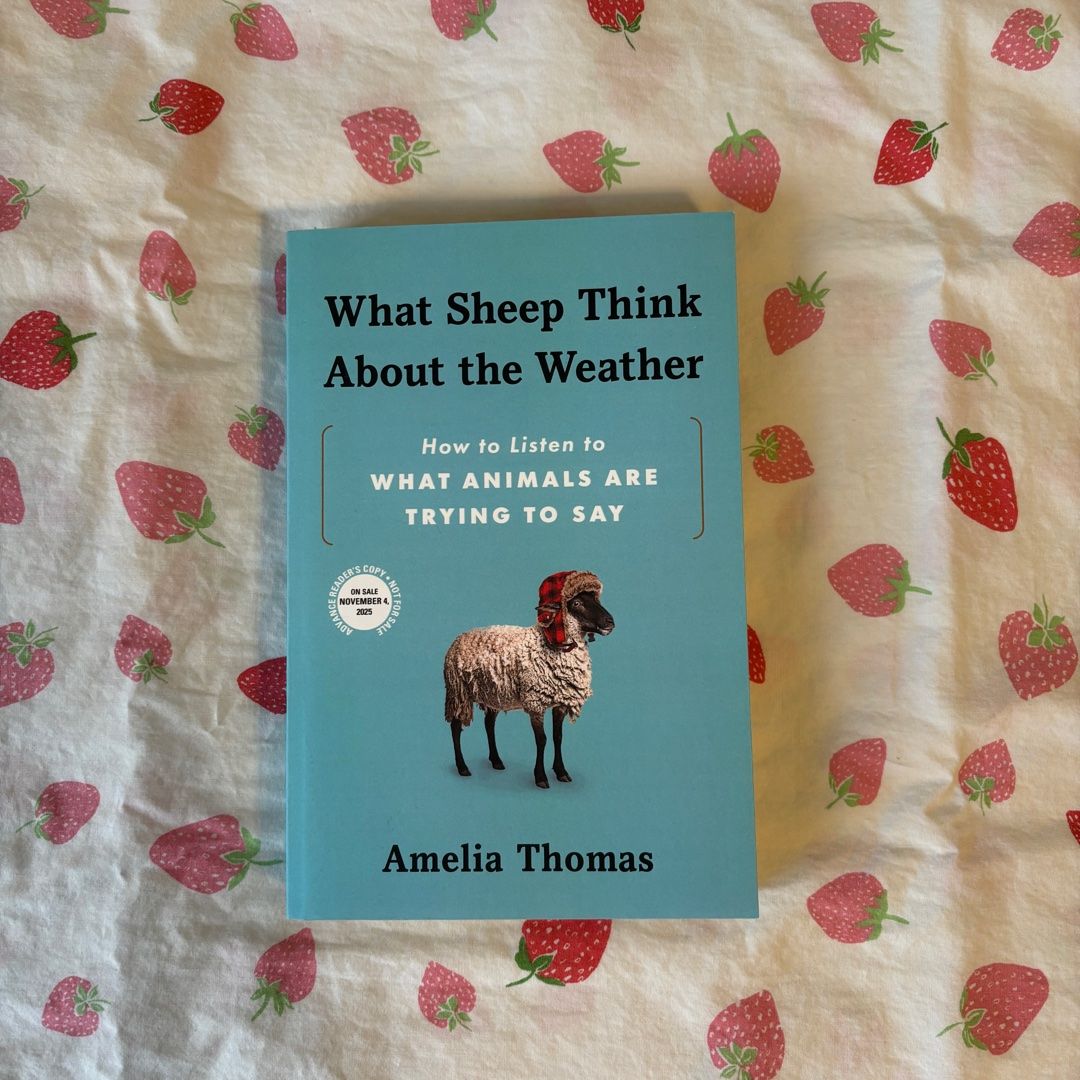 *ARC* What Sheep Think about the Weather