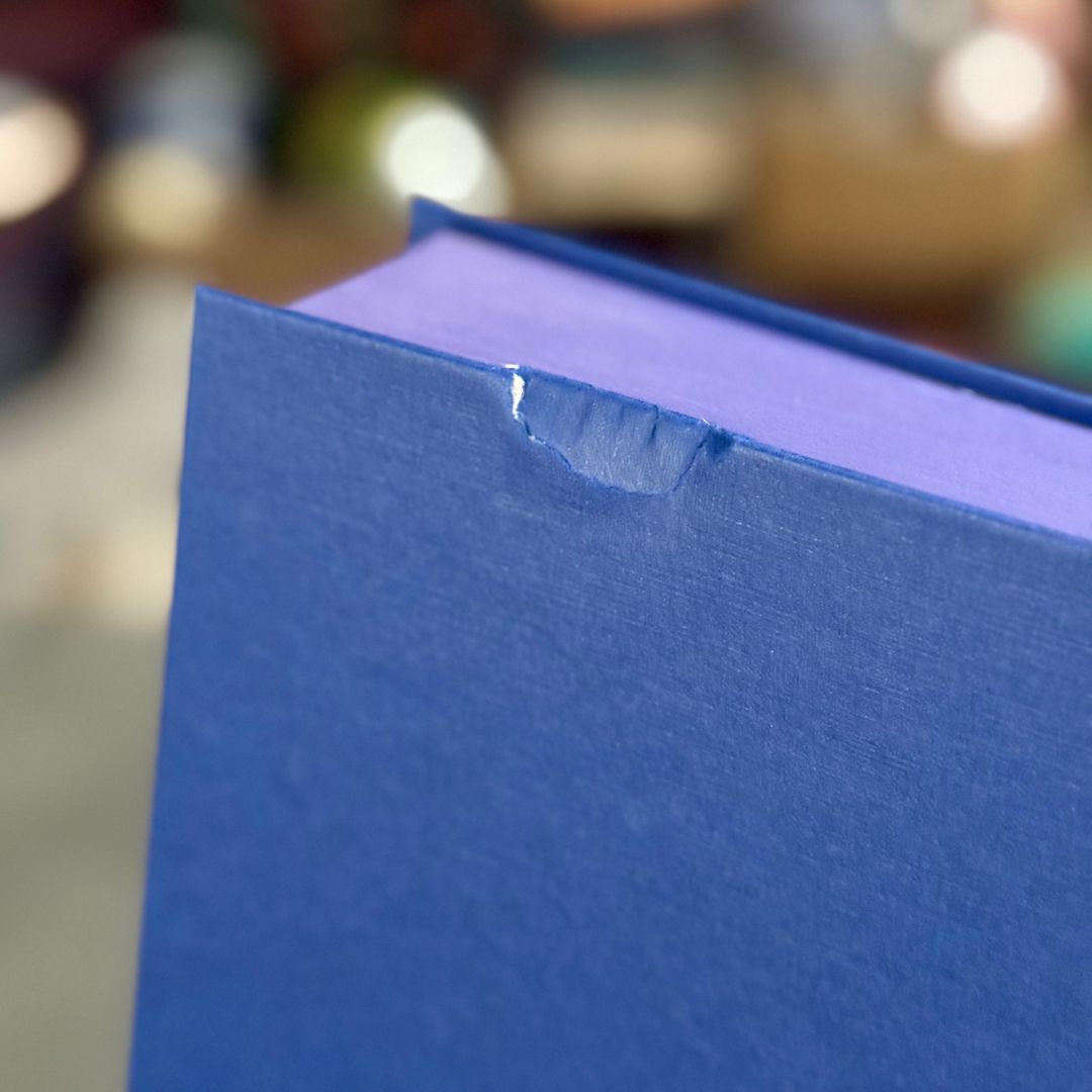 The Midnight Kingdom