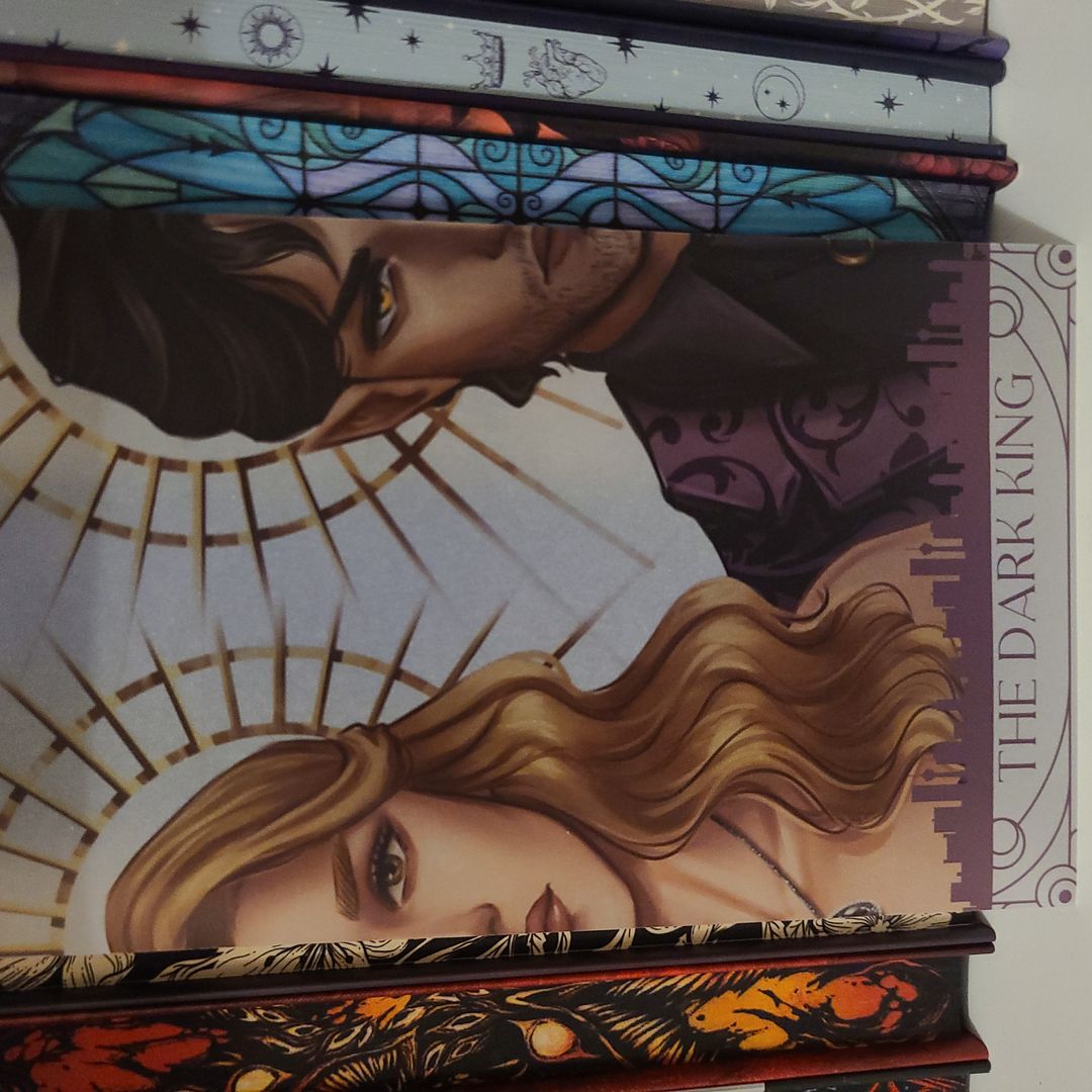 Bookish box The Dark King page art inset  