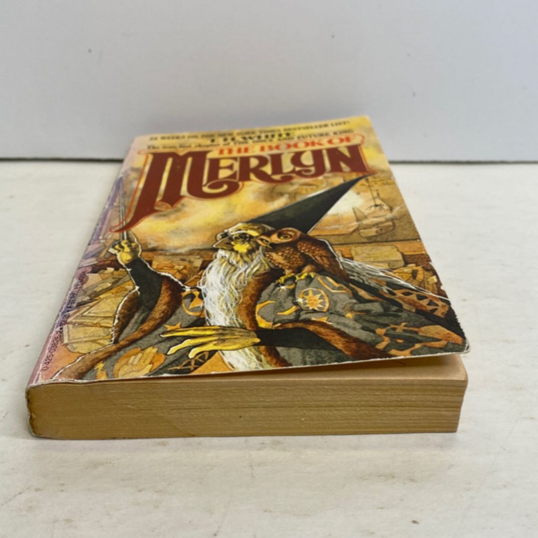 The Book of Merlyn