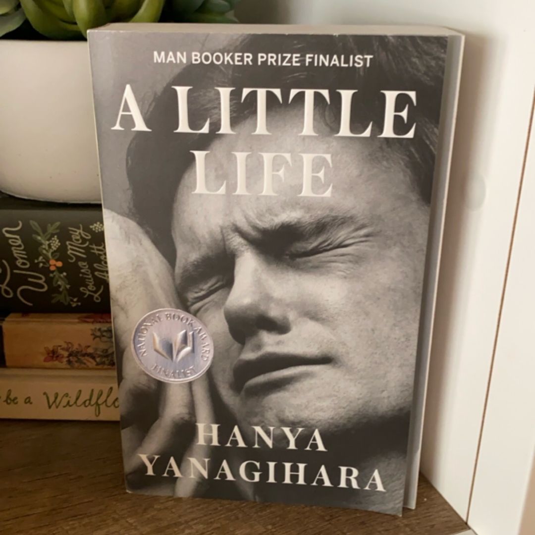 A Little Life