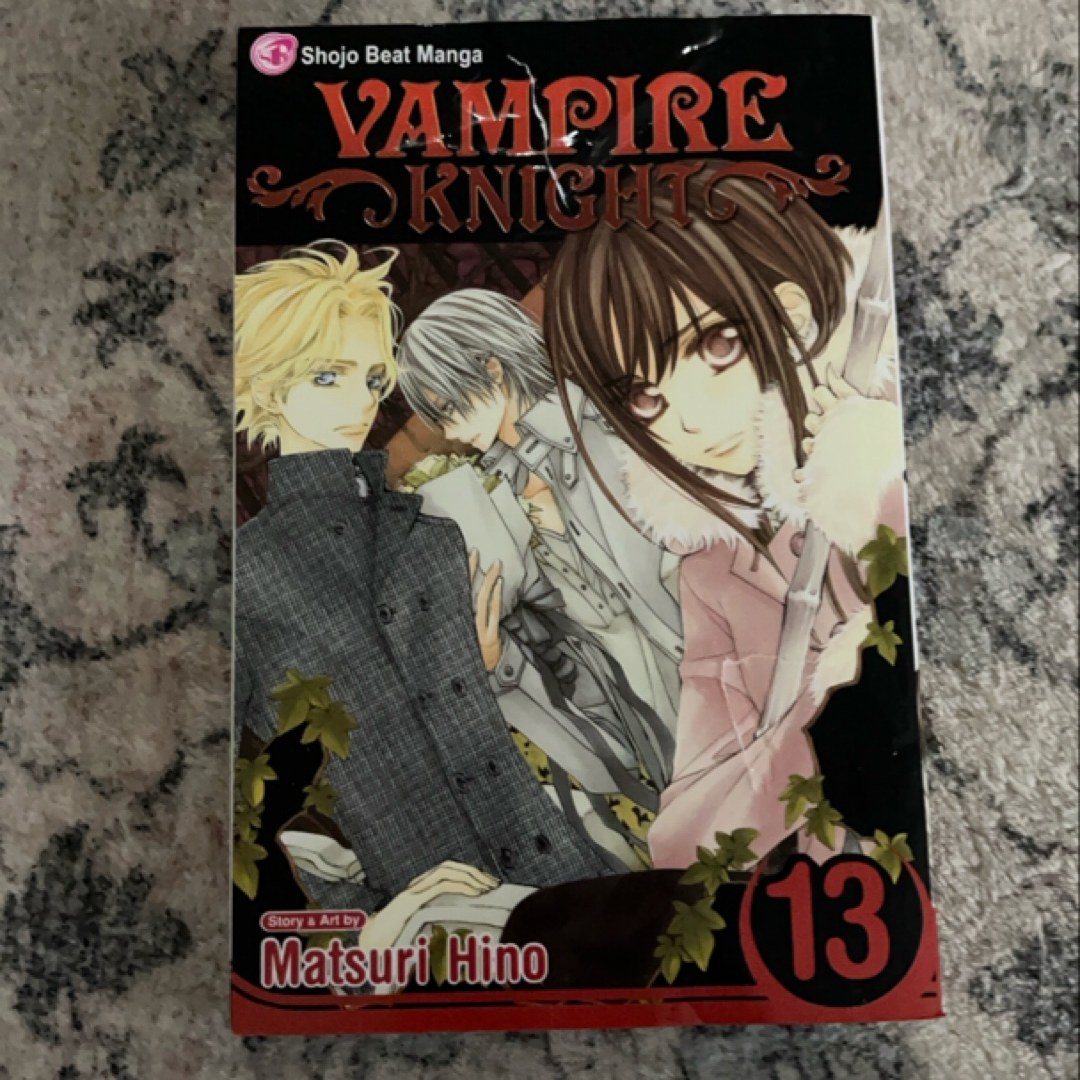 Vampire Knight, Vol. 13