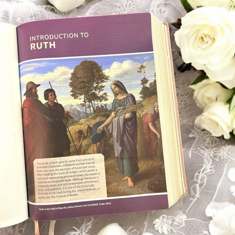 CSB Study Bible, Rose Gold LeatherTouch, Indexed by C. S. B. Bibles CSB ...