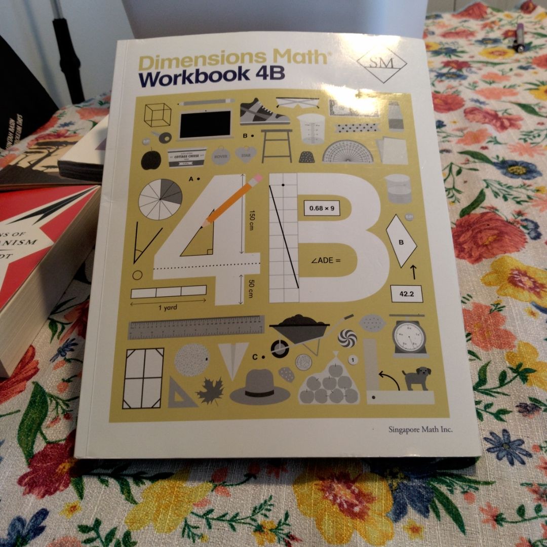 Dimensions Math Workbook 4B
