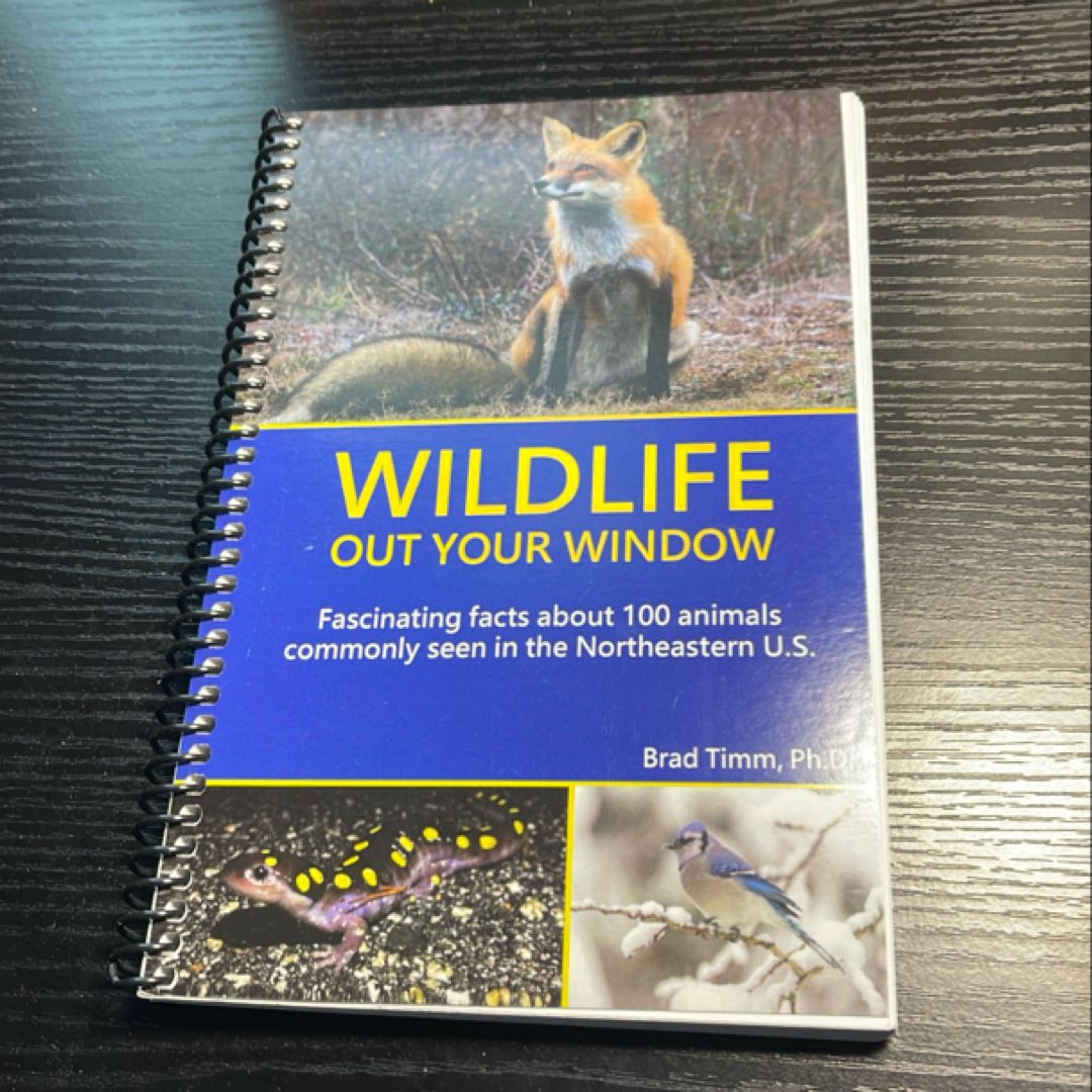 Wildlife Out Your Window