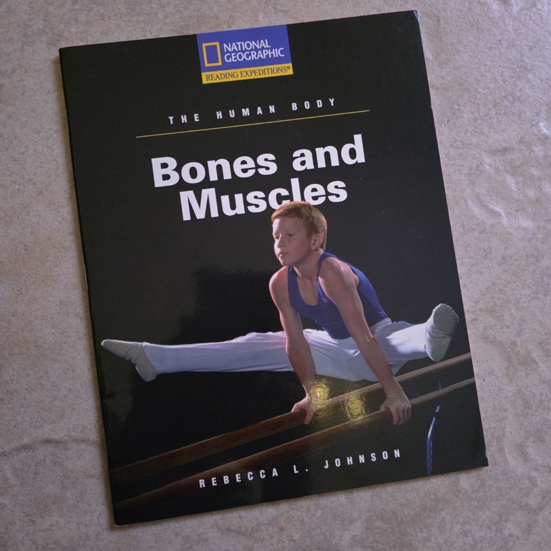 The Human Body Bones and Muscles