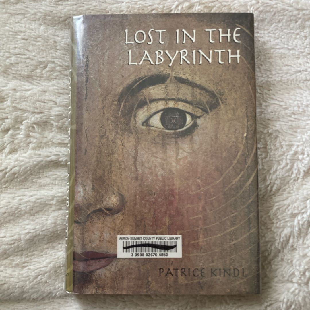 Lost in the Labyrinth