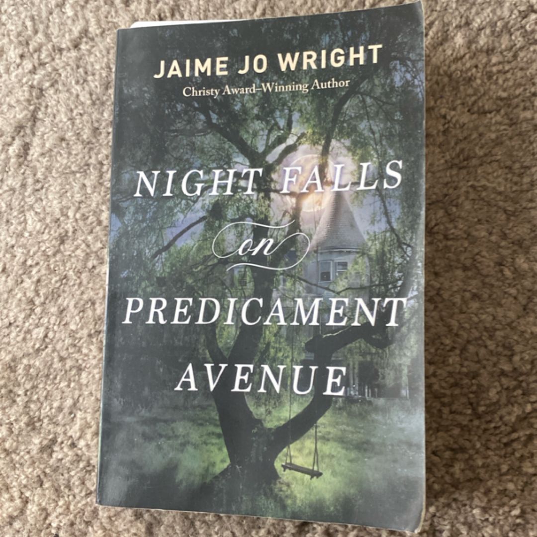 Night Falls on Predicament Avenue