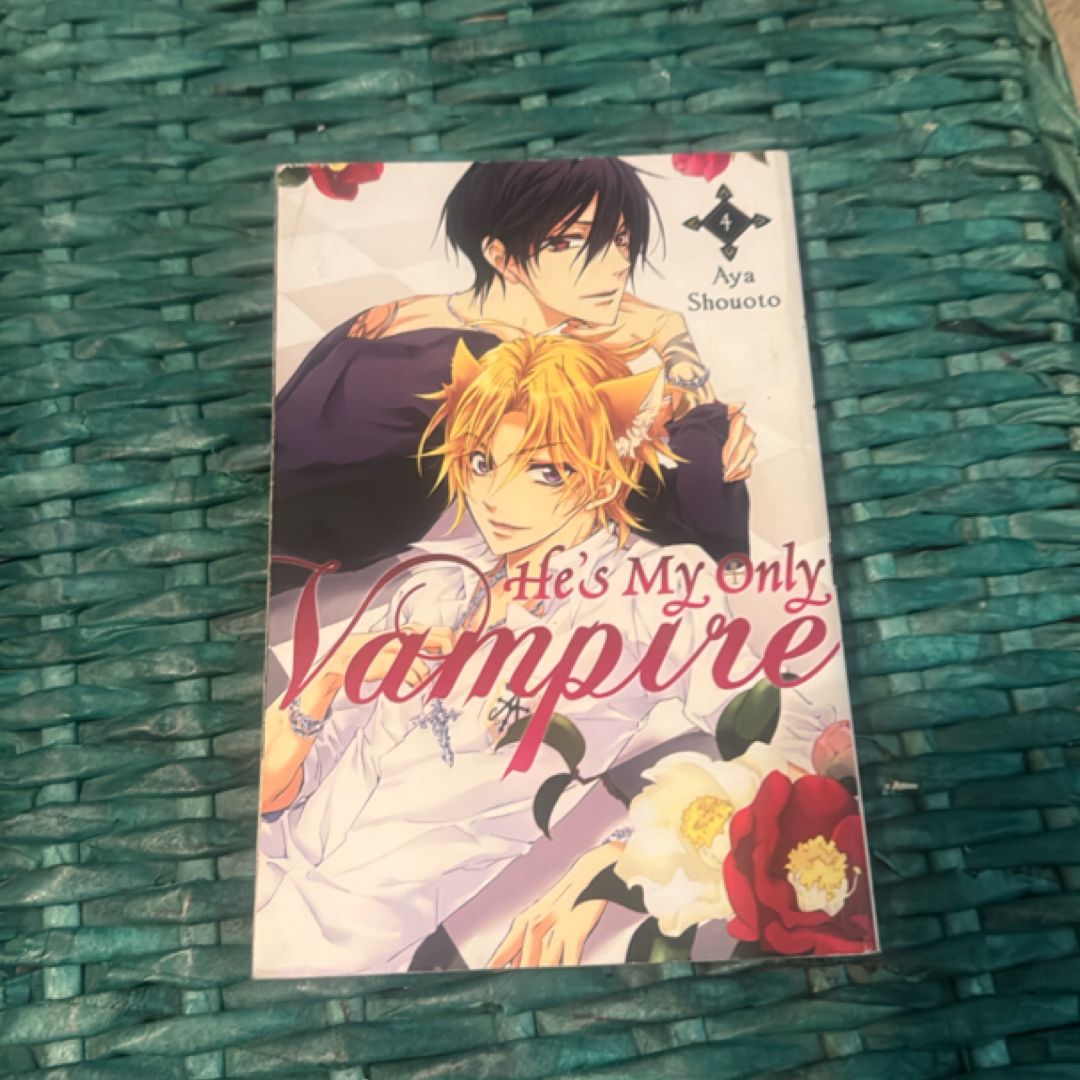 He's My Only Vampire, Vol. 4