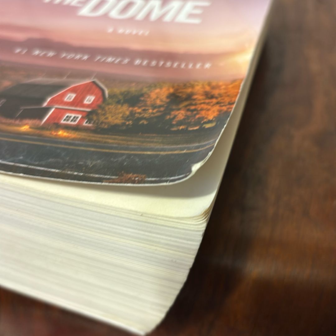Under the Dome