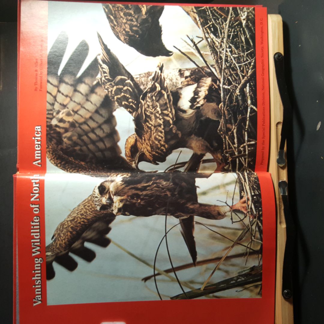 Vanishing Wildlife of North America