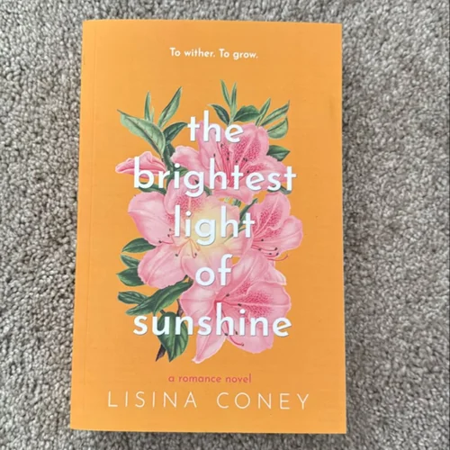 The Brightest Light of Sunshine