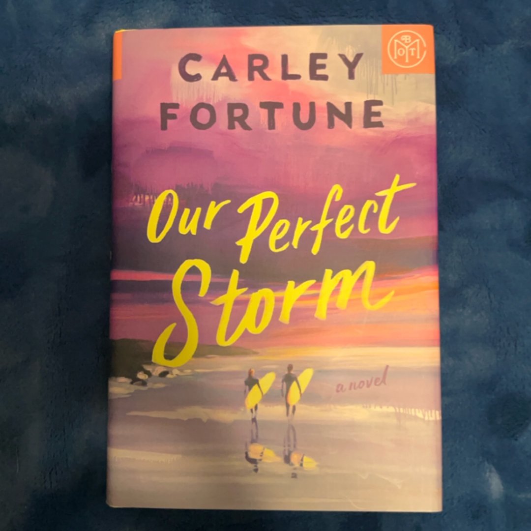 Our Perfect Storm