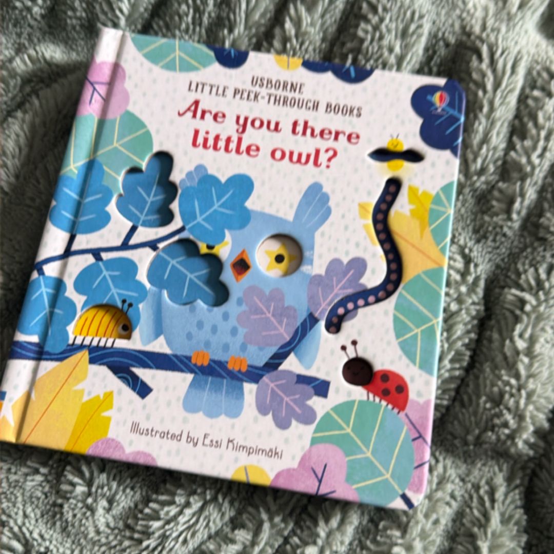 Are You There Little Owl?