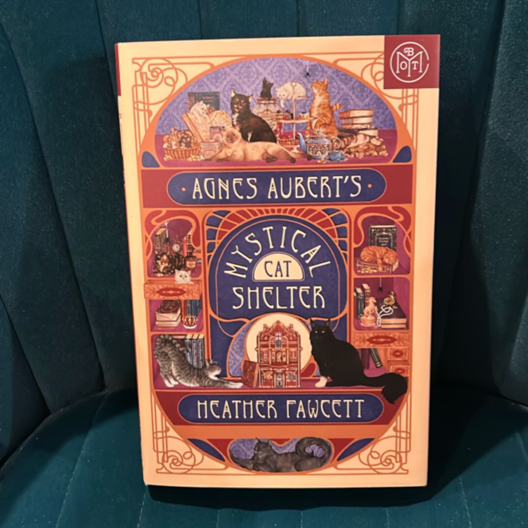 Agnes Aubert's Mystical Cat Shelter