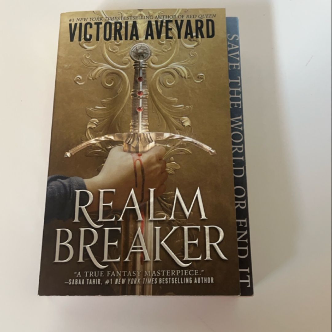 Realm Breaker