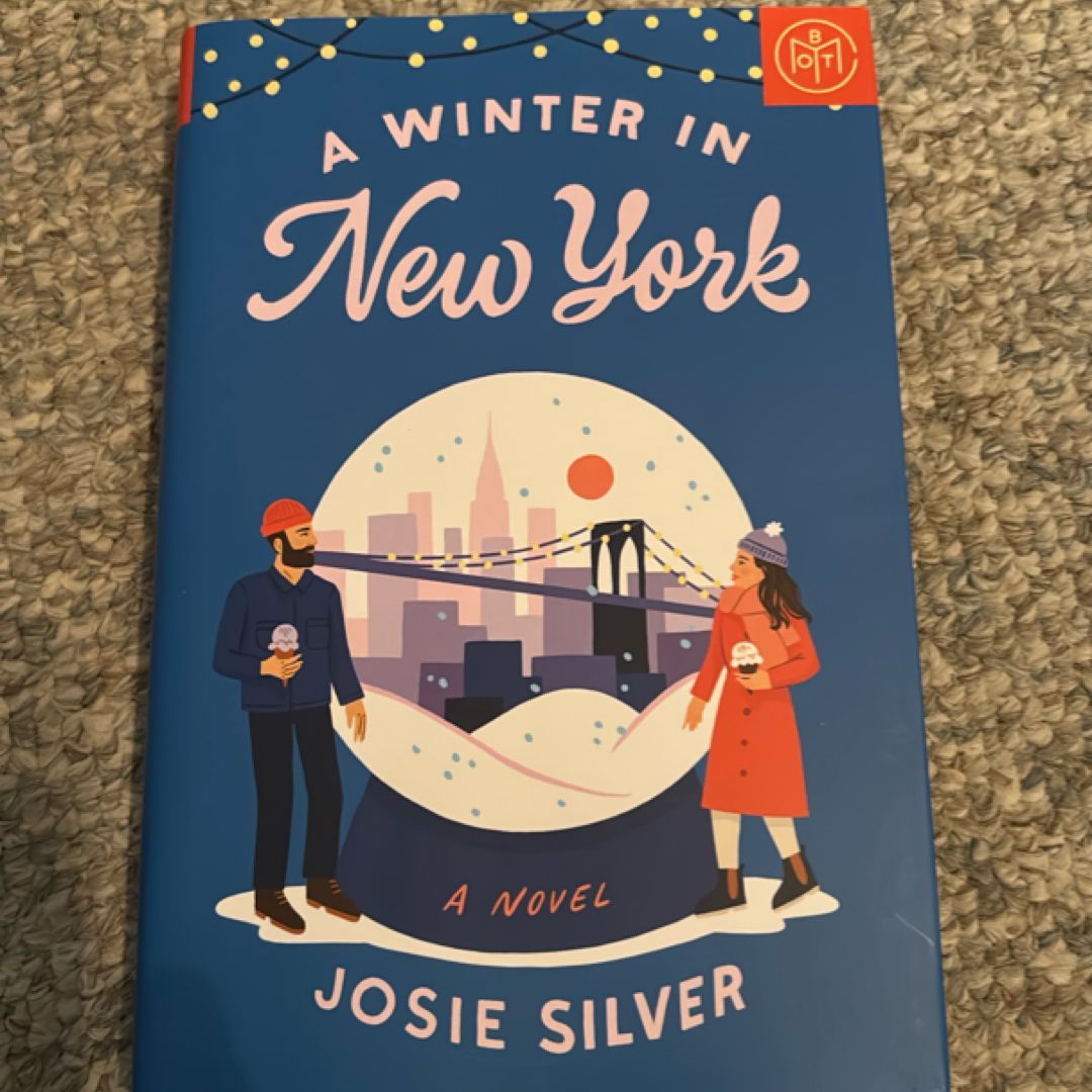 A Winter in New York