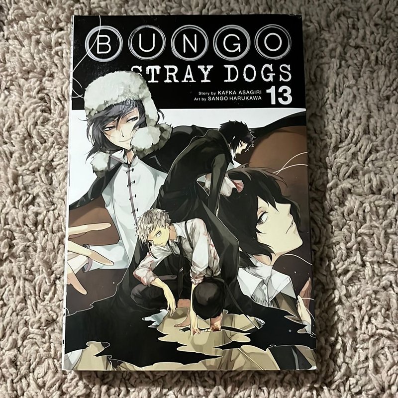 Bungo Stray Dogs, Vol. 13