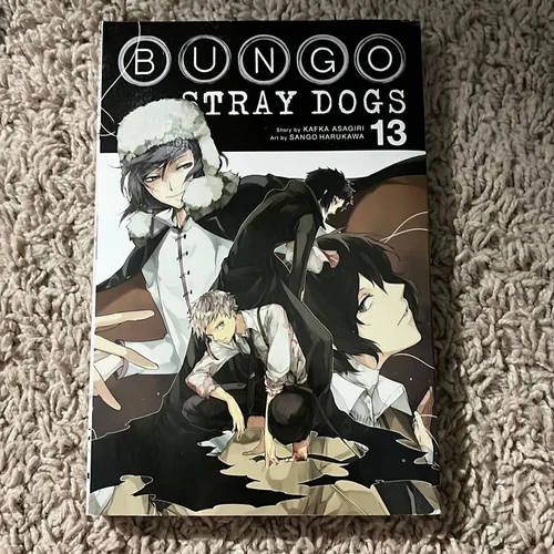 Bungo Stray Dogs, Vol. 13