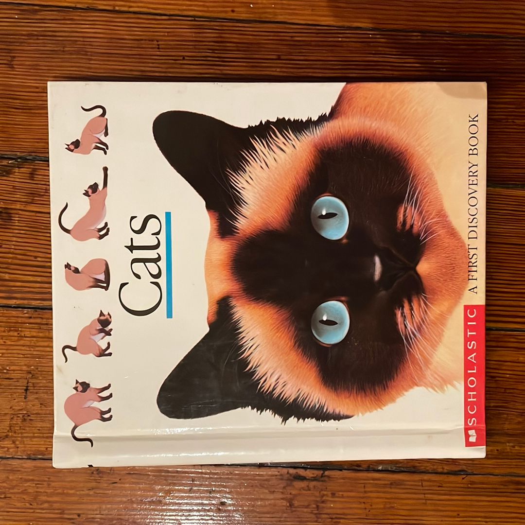 A First Discovery Book Bundle (3)